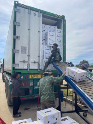frozen ginger supplier Vietnam