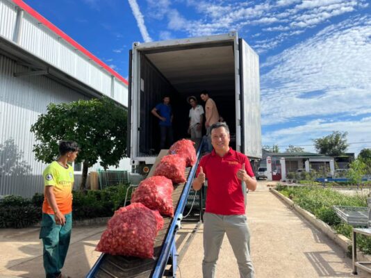 dried ginger supplier for Australia