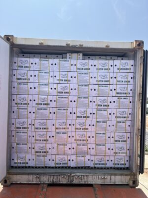 bulk packaging frozen ginger