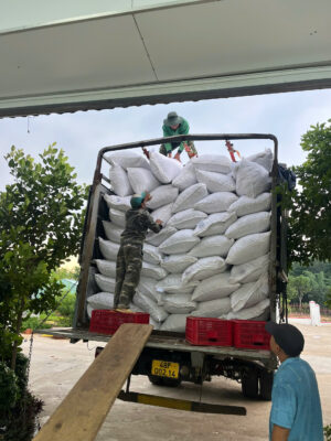 Dried ginger bulk export